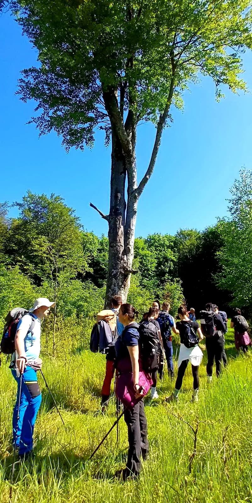 Izlet na vrh Papuka - HPD Gojzerica Požega - nedjelja 25.05.2025.