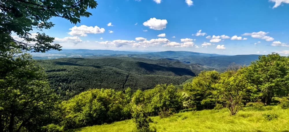 Izlet na vrh Papuka - HPD Gojzerica Požega - nedjelja 25.05.2025.