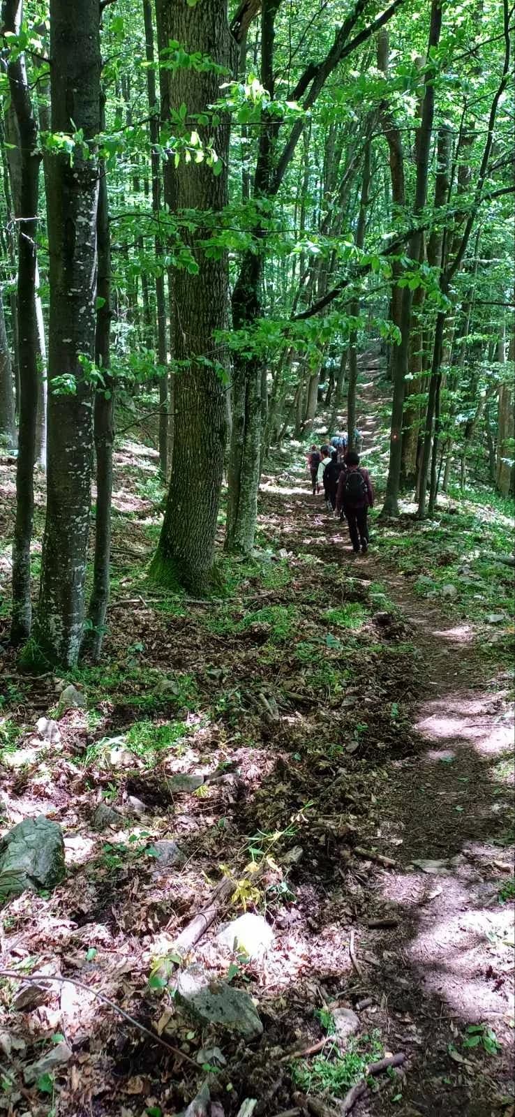 Izlet na vrh Papuka - HPD Gojzerica Požega - nedjelja 25.05.2025.
