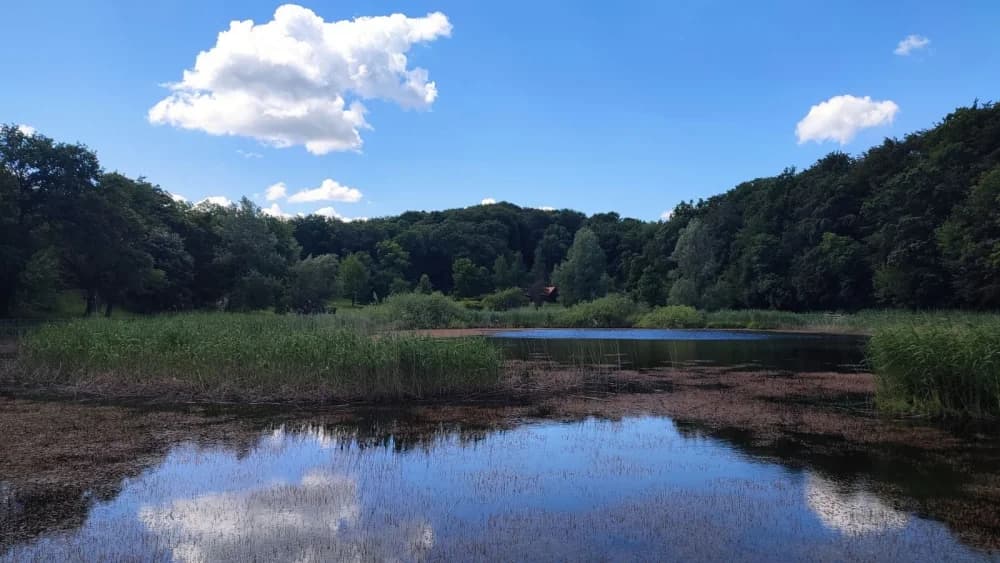 Čarolija Sovskog jezera okupila planinare, pjesnike i slikare u nezaboravnom susretu