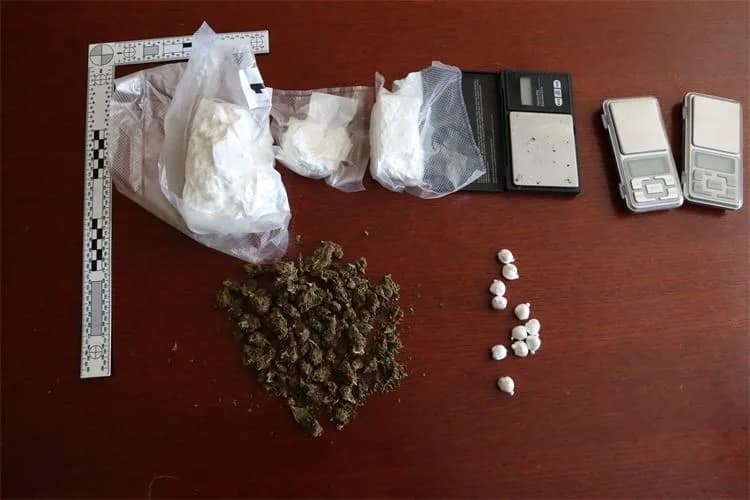 Akcija DOMINA: U Požegi i Velikoj pronađene stotine grama kokaina i trave uz desetke tisuće eura