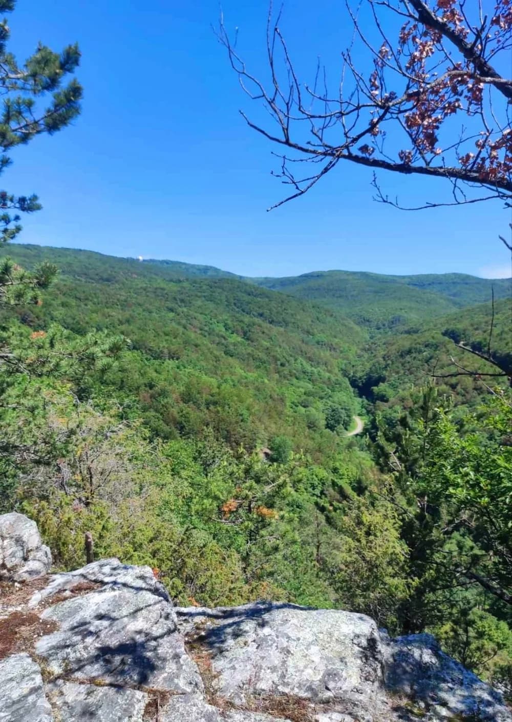 Planinarke i planinari HPD Sokolovca hodali su neoznačenim putovima Papuka u društvu raznovrsne divljači!