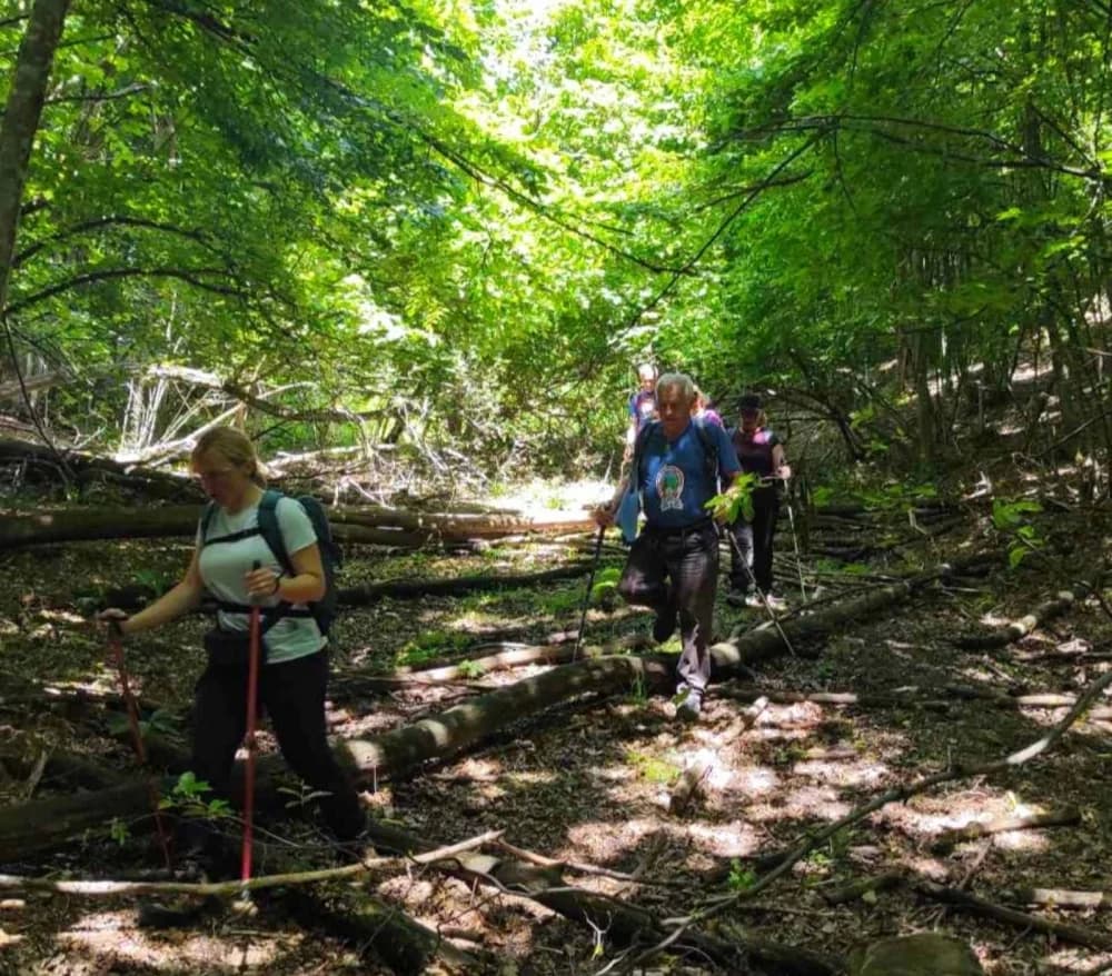 Planinarke i planinari HPD Sokolovca hodali su neoznačenim putovima Papuka u društvu raznovrsne divljači!
