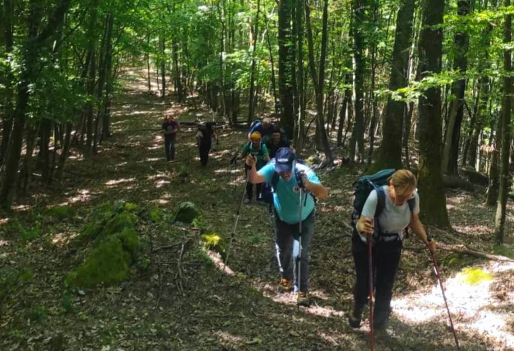 Planinarke i planinari HPD Sokolovca hodali su neoznačenim putovima Papuka u društvu raznovrsne divljači!