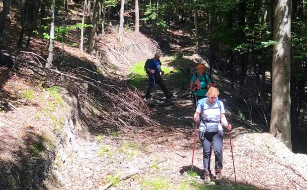 Planinarke i planinari HPD Sokolovca hodali su neoznačenim putovima Papuka u društvu raznovrsne divljači!