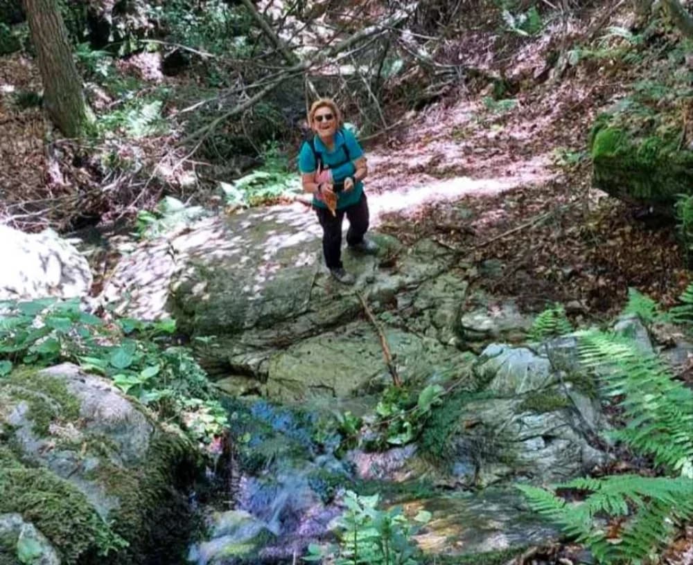 Planinarke i planinari HPD Sokolovca hodali su neoznačenim putovima Papuka u društvu raznovrsne divljači!