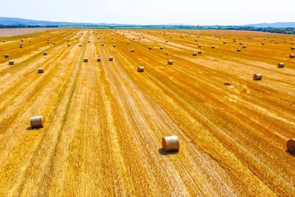 Javni natječaj za financiranje programa i projekata udruga koje promiču poljoprivredu, održivi razvoj i vrijednosti ruralnog prostora Republike Hrvatske za 2025. godinu