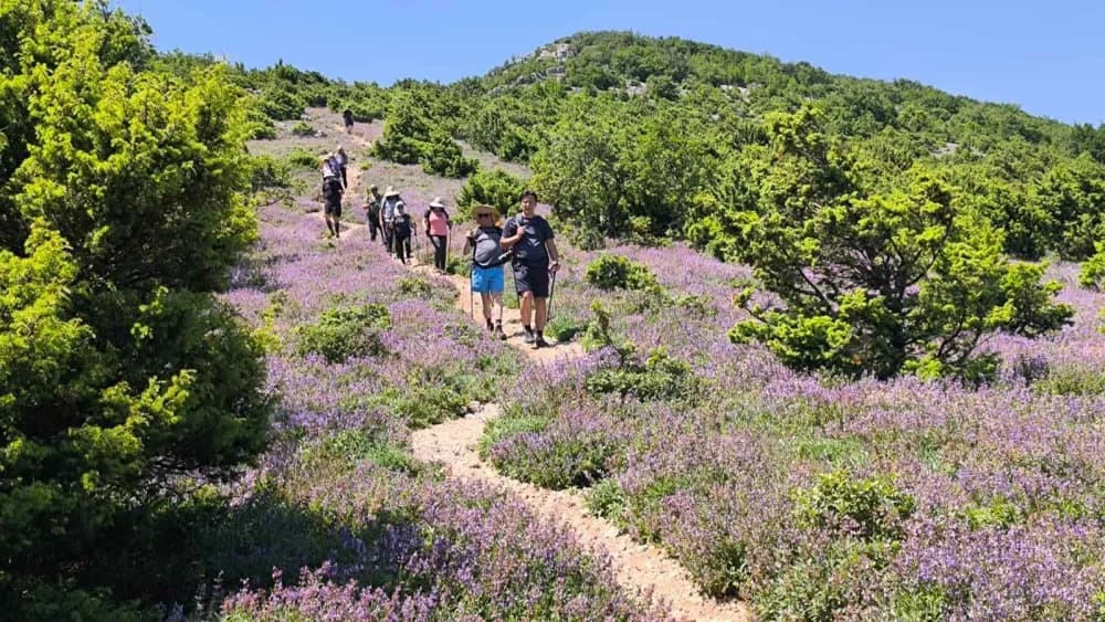 IZLET NA BURNI BITORAJ, CRES I LOŠINJ “Kako kaže Vjeko: Tri dana – sto doživljaja!”