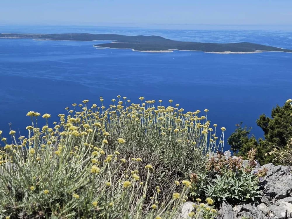 IZLET NA BURNI BITORAJ, CRES I LOŠINJ “Kako kaže Vjeko: Tri dana – sto doživljaja!”