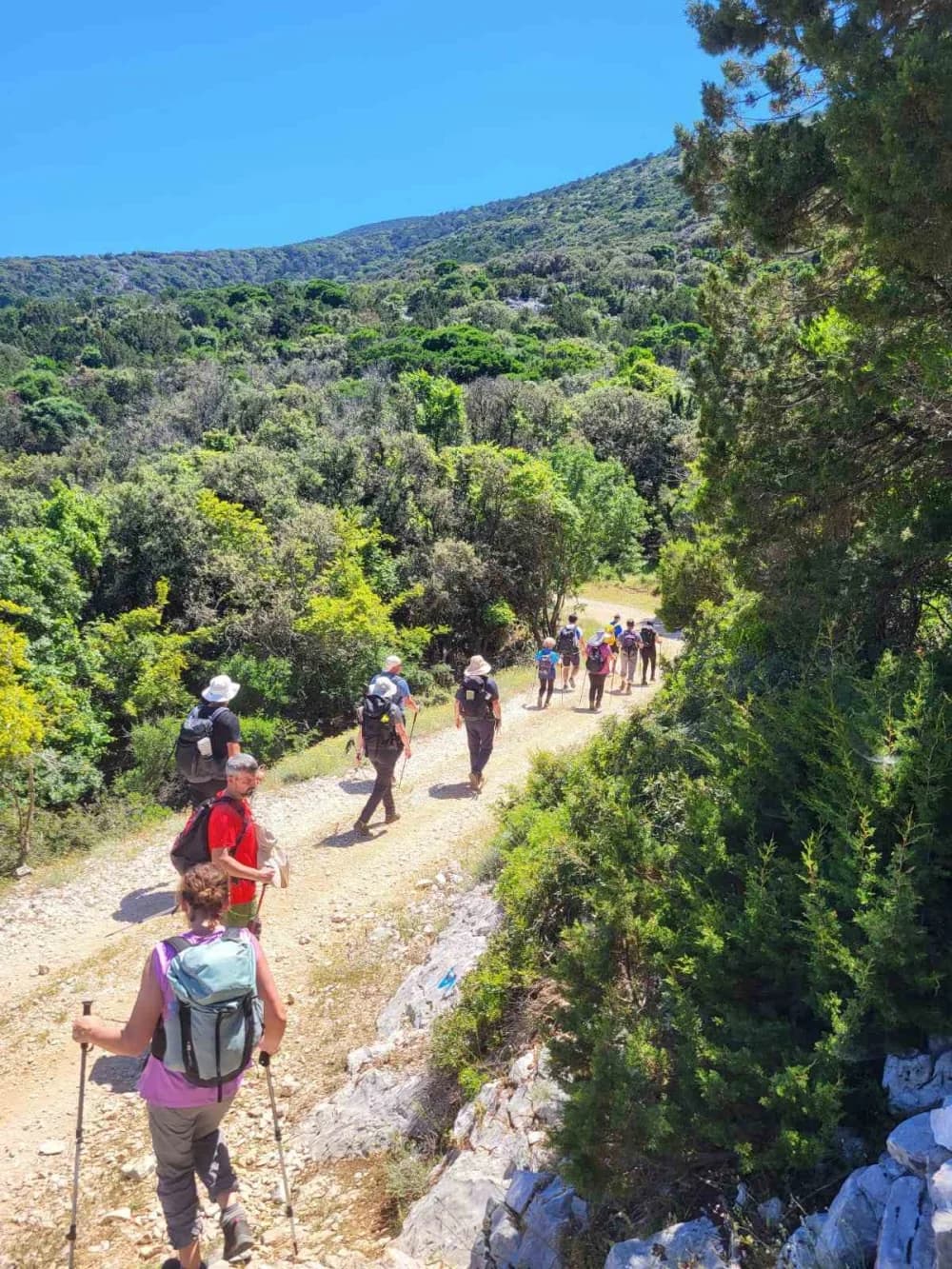 IZLET NA BURNI BITORAJ, CRES I LOŠINJ “Kako kaže Vjeko: Tri dana – sto doživljaja!”
