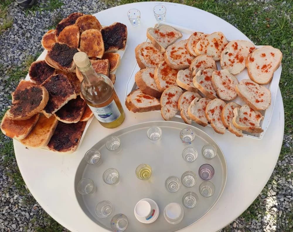 32. Antunovski piknik: Slavonija oživjela planinarskim duhom na Krndiji