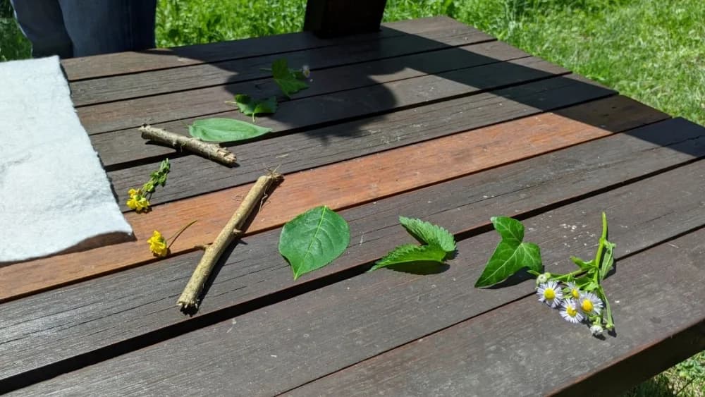 Radionica o šumskoj pedagogiji (Zelenjak - Hrvatsko Zagirje) - 14.06.2025.