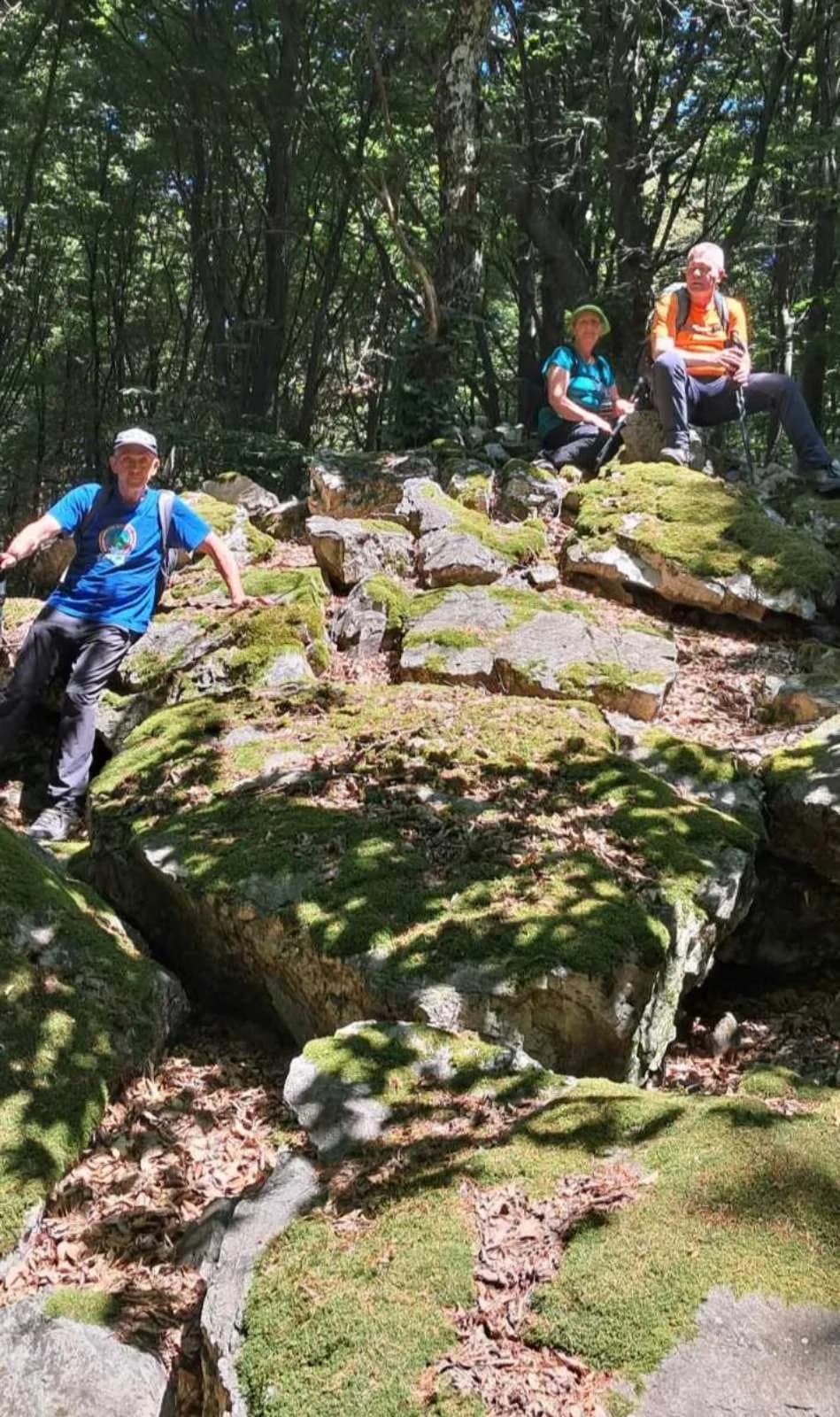 Počelo je ljeto pa su Sokolovci hlad potražili na Papuku u visinama pod divljim kruškama