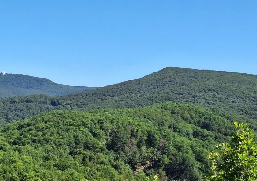 Počelo je ljeto pa su Sokolovci hlad potražili na Papuku u visinama pod divljim kruškama