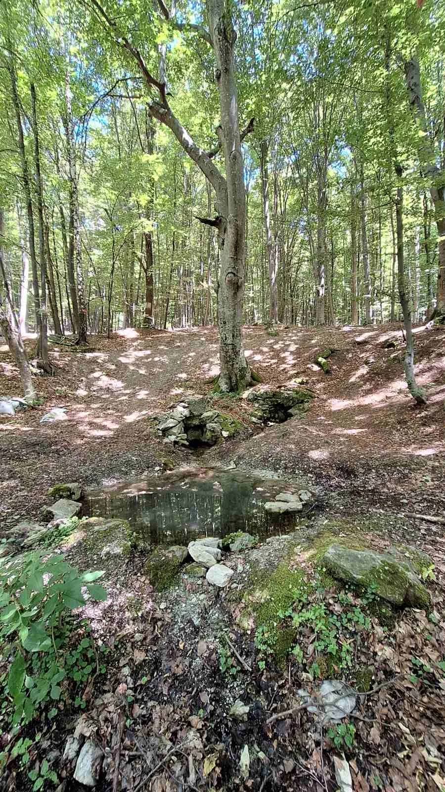 Počelo je ljeto pa su Sokolovci hlad potražili na Papuku u visinama pod divljim kruškama
