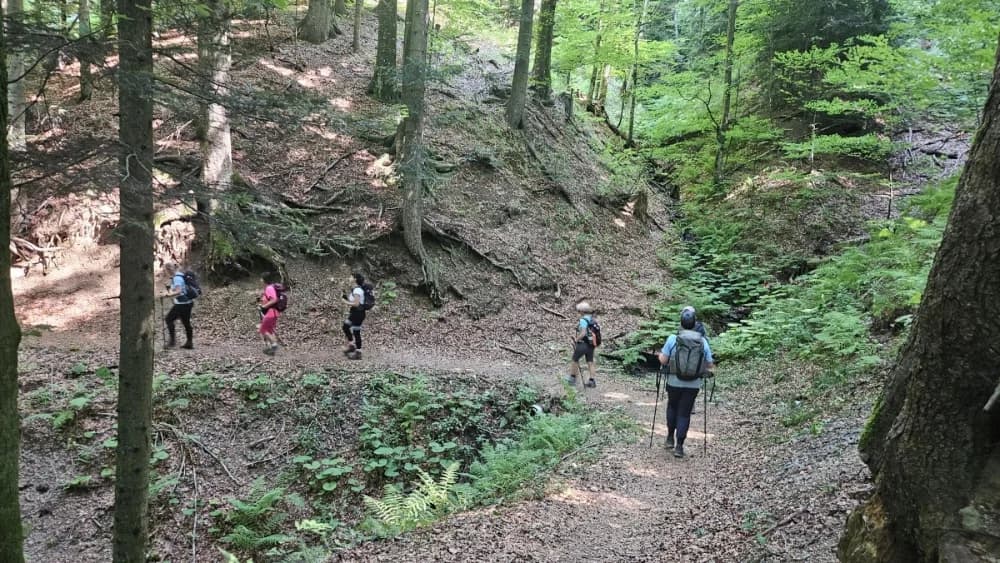 ’Gojzerice’ napravile izlet na Lokvarsko jezero u Gorski kotar