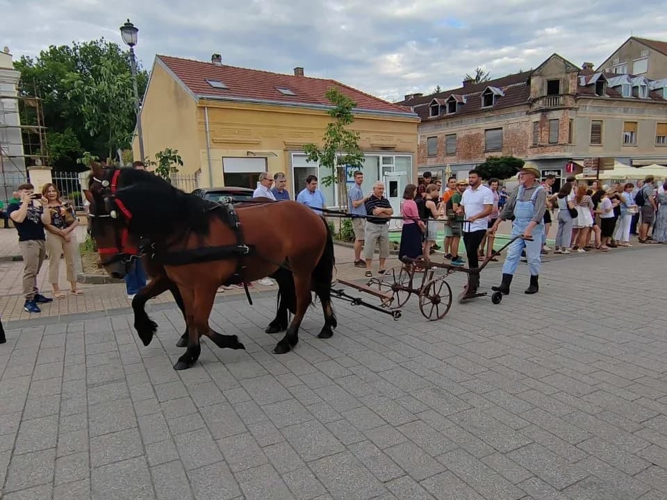 Češka beseda Bjeliševac sudjelovala na 100. Dožínky u Daruvaru