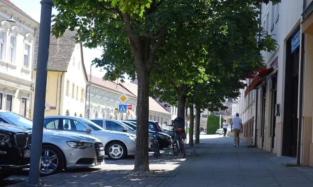 Subotnja šetnja Požegom, 19.07.2025.