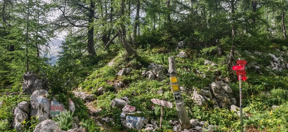 HPD Gojzerica uspješno osvojila Triglav – među njima i 11-godišnja planinarka Petra!