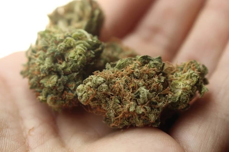 Požega: Kod 35-godišnjaka pronađena marihuana
