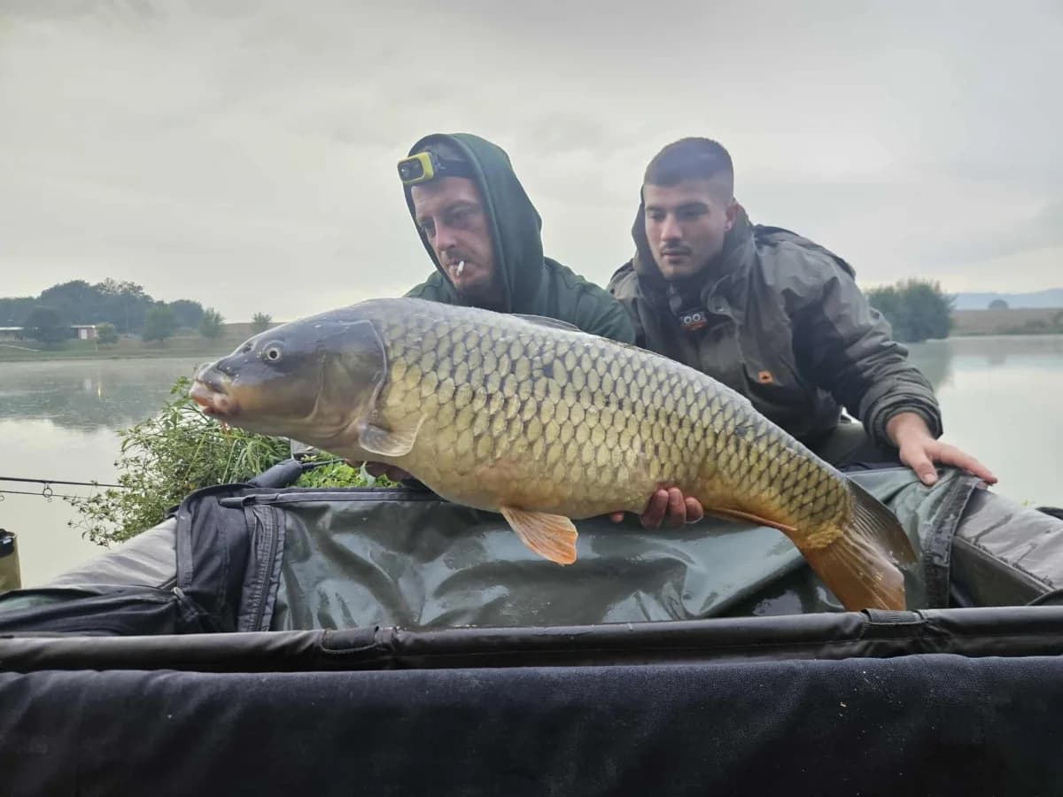 1. Ekipni EXTREME šaranski kup: Pecali 74 sata, najveću ribu tešku 15,83 kg ulovio Nikola Obradović