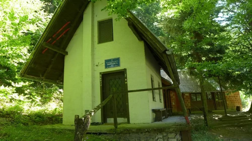 Slika