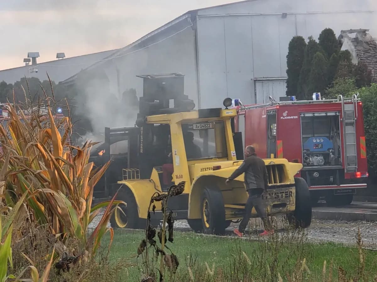 Izgorjelo nekoliko skupocjenih automobila vlasnika Color emajla, uzrok požara još uvijek nepoznat
