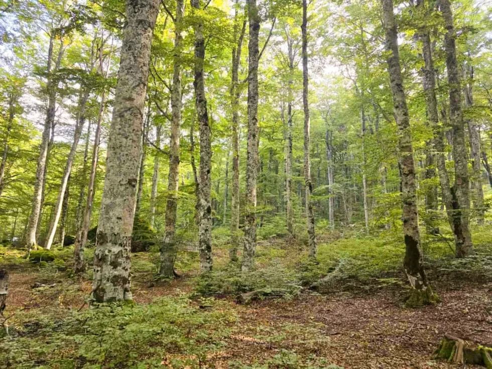 (FOTOGALERIJA) Mali požeški planinari Kempfići osvojili najviši vrh Hrvatske
