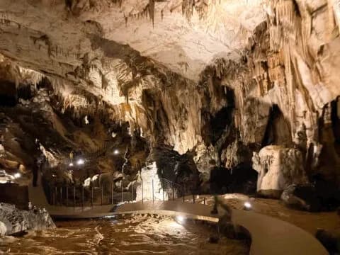 (FOTOGALERIJA) Mali požeški planinari Kempfići osvojili najviši vrh Hrvatske