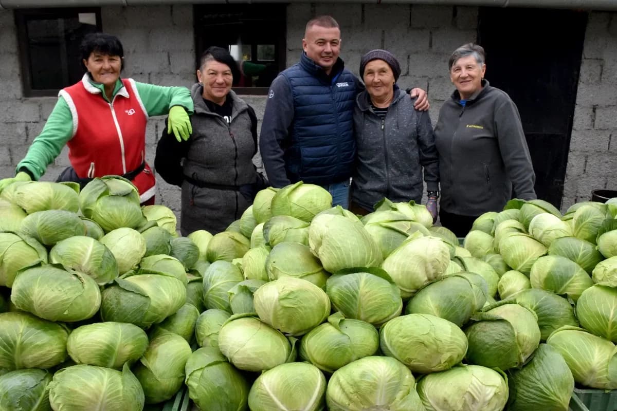 Ciganovići iz Alilovaca: Uzorna obitelj proizvođača kupusa koja spaja tradiciju i suvremenu tehnologiju