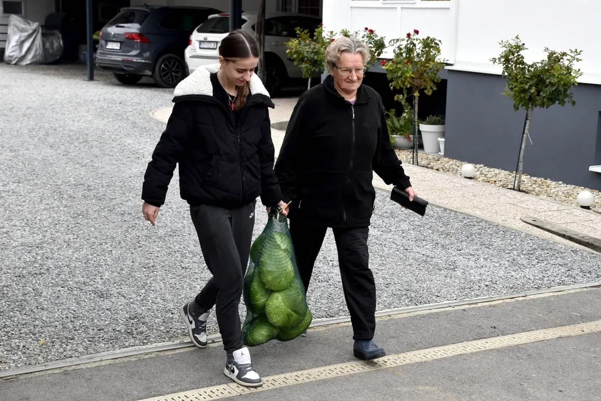 Ciganovići iz Alilovaca: Uzorna obitelj proizvođača kupusa koja spaja tradiciju i suvremenu tehnologiju