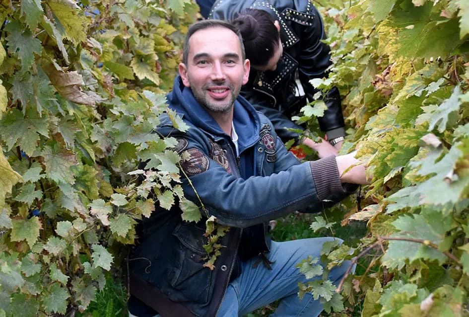 Graševina s Trga: Svečani završetak berbe u srcu Kutjeva na kojoj je za novog vincilira izabran Ante Paulić