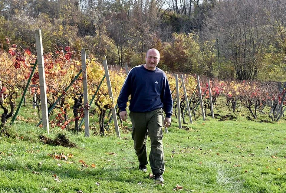 Priča o obitelji Pamuklić: Vinograd koji spaja generacije