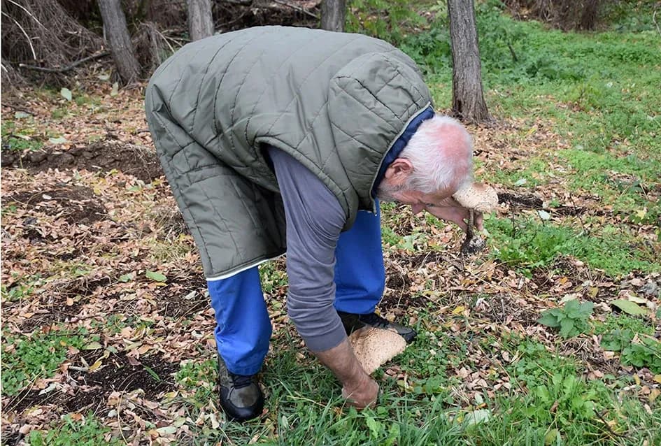 Jeseni u Dragi: Obitelj Ostojić sezonu gljiva zatvara uz pohane ’purane’ i kapljicu graševine