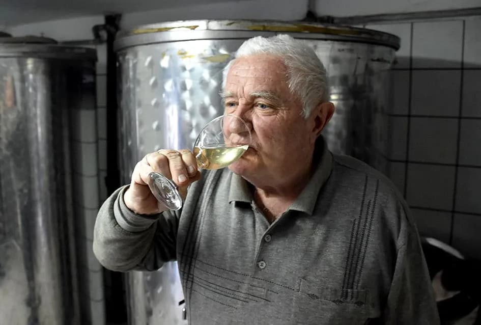Blanka i Josip Pejnović već desetljećima vinogradare na obroncima Papuka