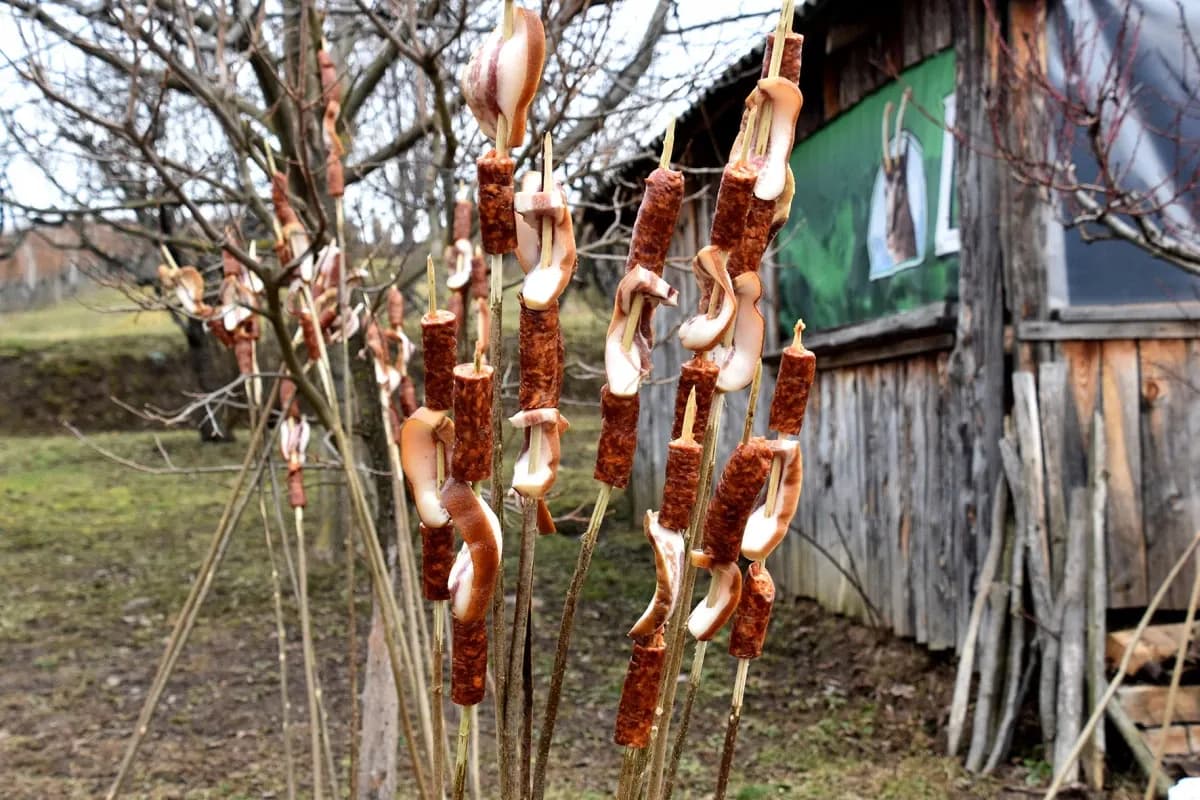 TRADICIJA NA VINKOMIRU: Proslava Vincelova u vinogradu obitelji Majstorović
