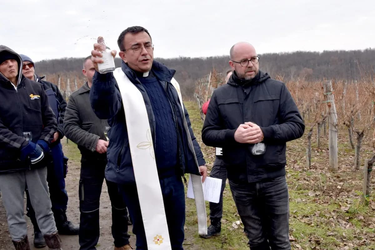 TRADICIJA NA VINKOMIRU: Proslava Vincelova u vinogradu obitelji Majstorović