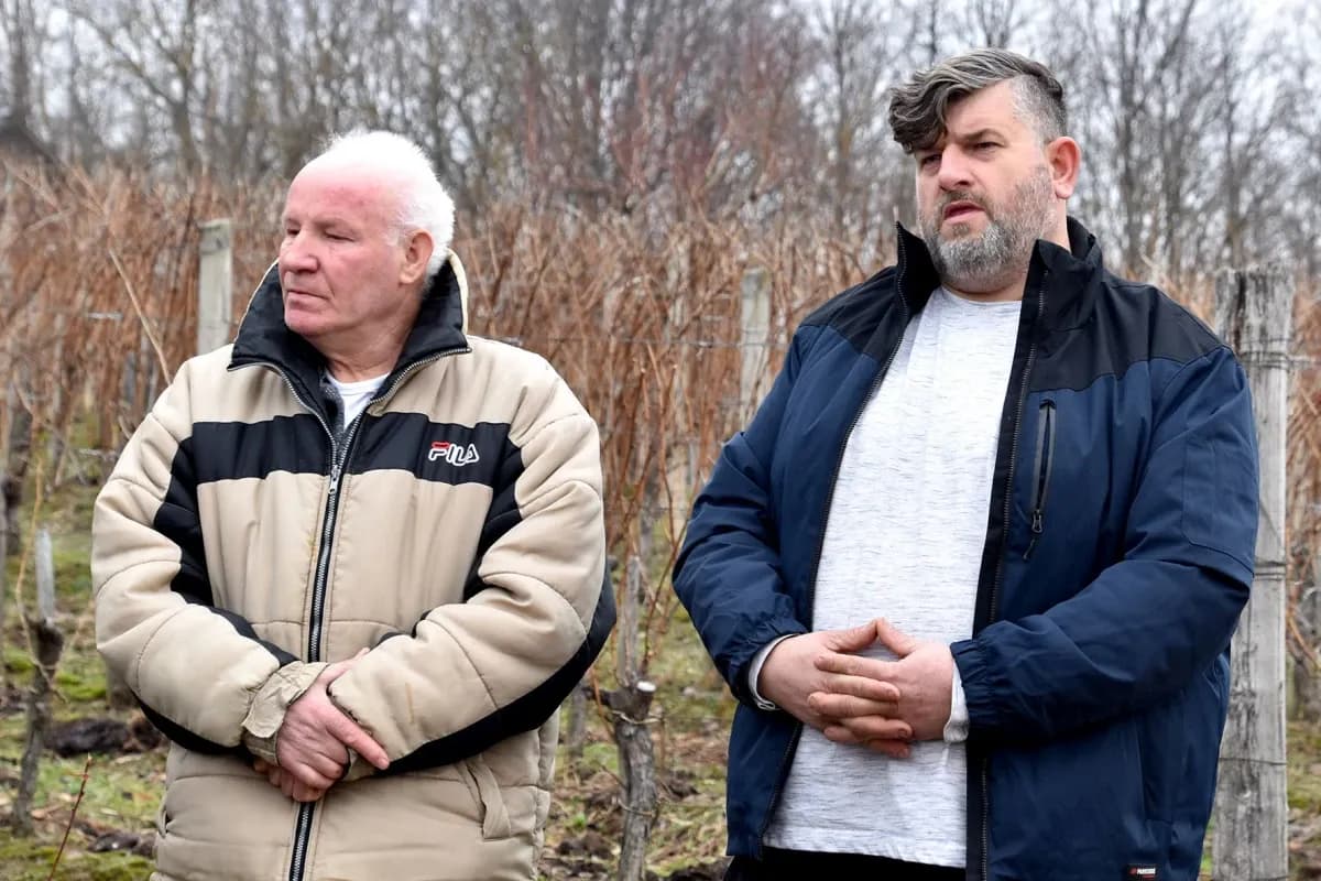 TRADICIJA NA VINKOMIRU: Proslava Vincelova u vinogradu obitelji Majstorović