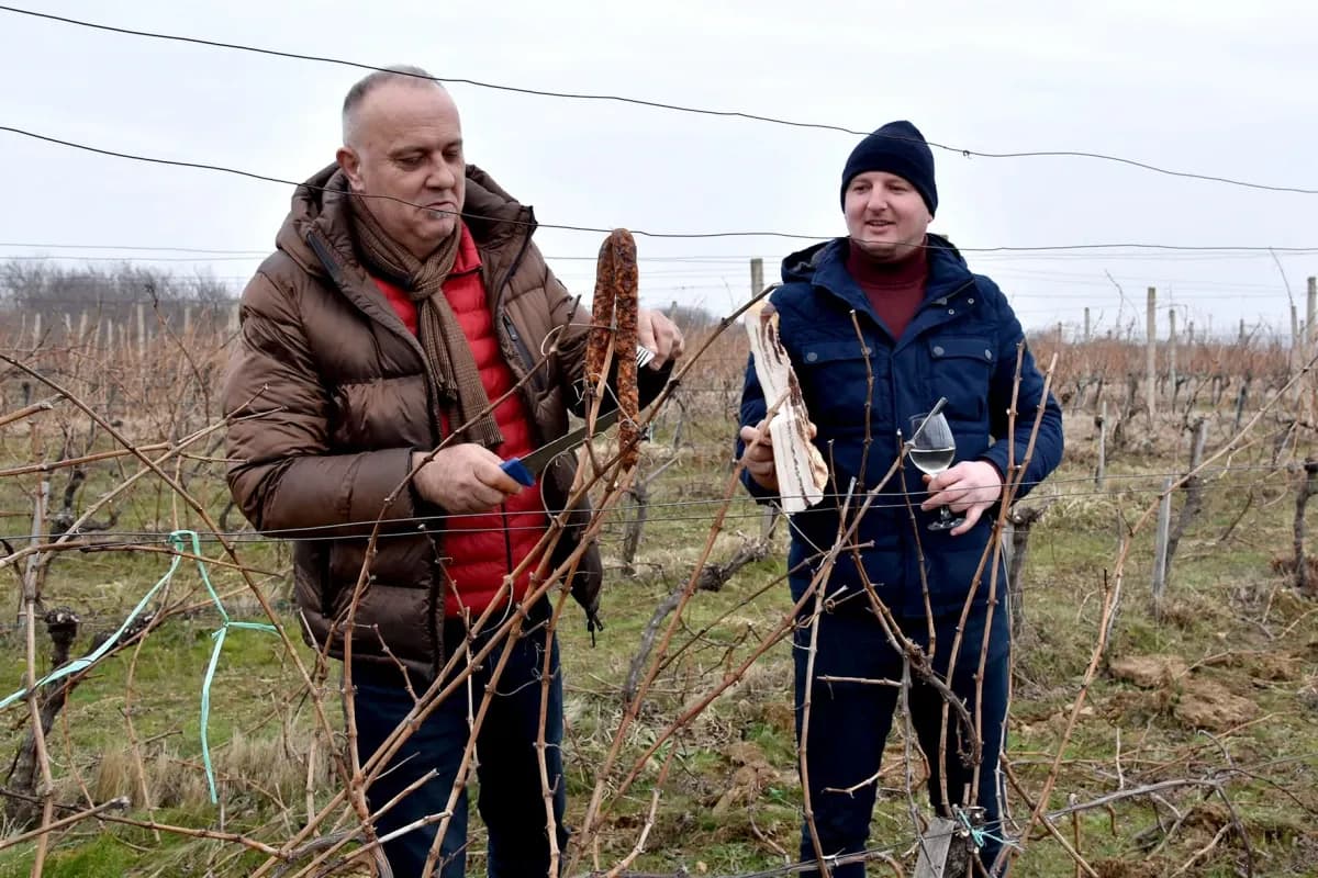 Vincelovo kod Denija Pavića: Okupio prijatelje i suigrače uz vatru, pjesmu i vrhunsku graševinu
