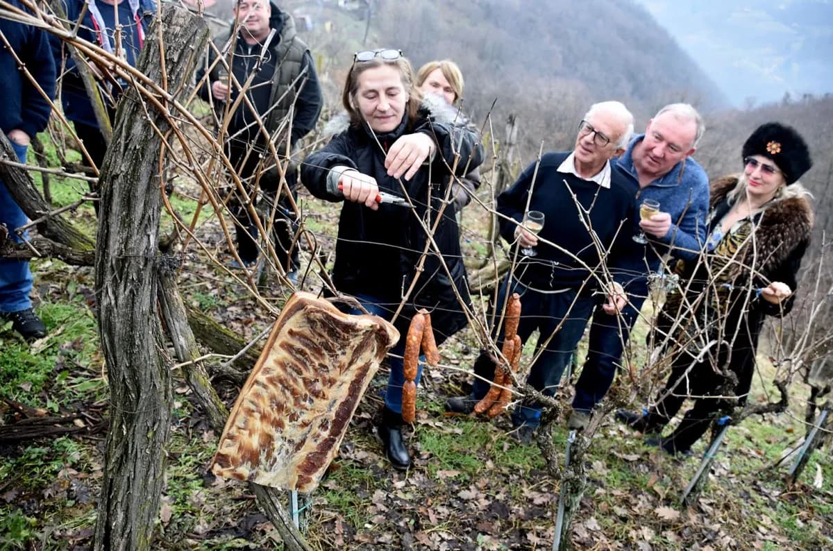 Vincelovo na krovu Požege: Branko Smolić proslavio početak vinogradarske godine na obroncima Sokolovca