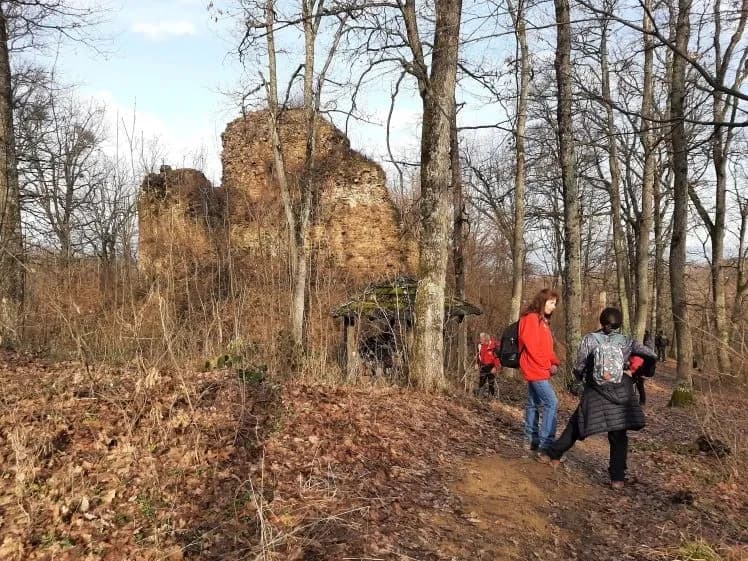 Koracima kroz vinograde i povijest Požeške gore: Zimski vincelovski pohod u Pleternici