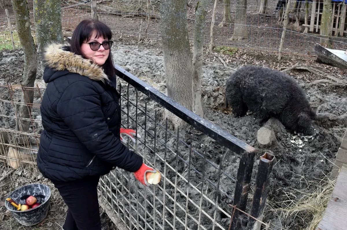 Spoj kista, volana i farme: Obitelj Bošnjak u Lukaču uz osnovne poslove stvorila raj za mangulice