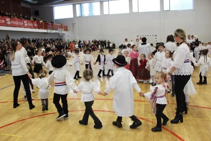 MAŠKARE U PLETERNICI: U prepunoj školskoj dvorani pripremljen zanimljiv pokladni program
