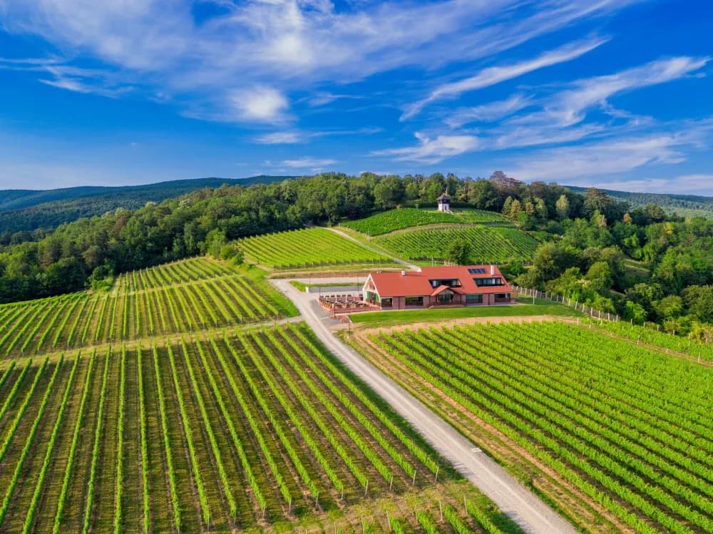 Vinarija Kutjevo zapošljava degustatore vina