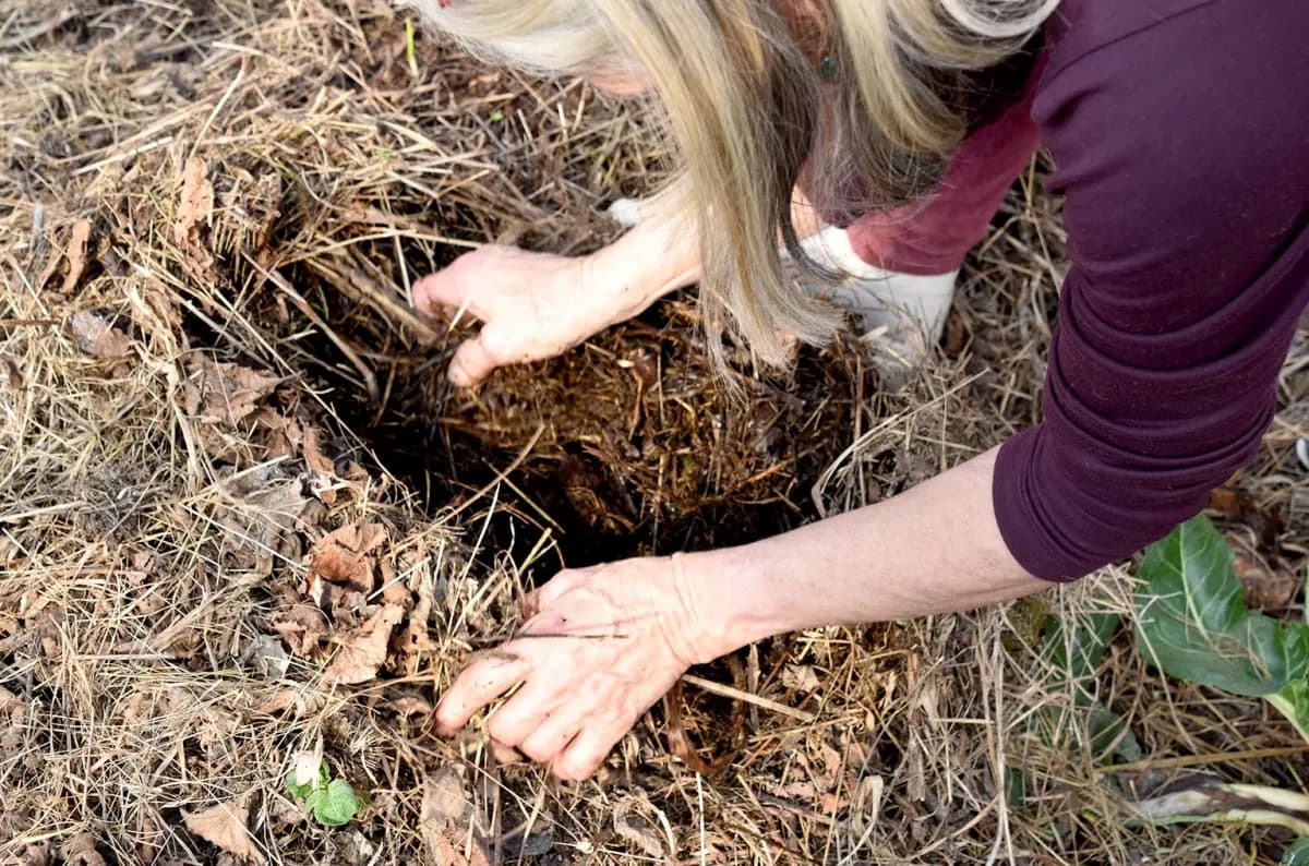 Valpanonija na Gospinom brdu: Švicarska snaja koja u Požegi čuva blago prirode
