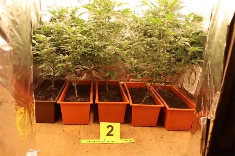 42-godišnjak osumnjičen za neovlaštenu proizvodnju i promet drogama