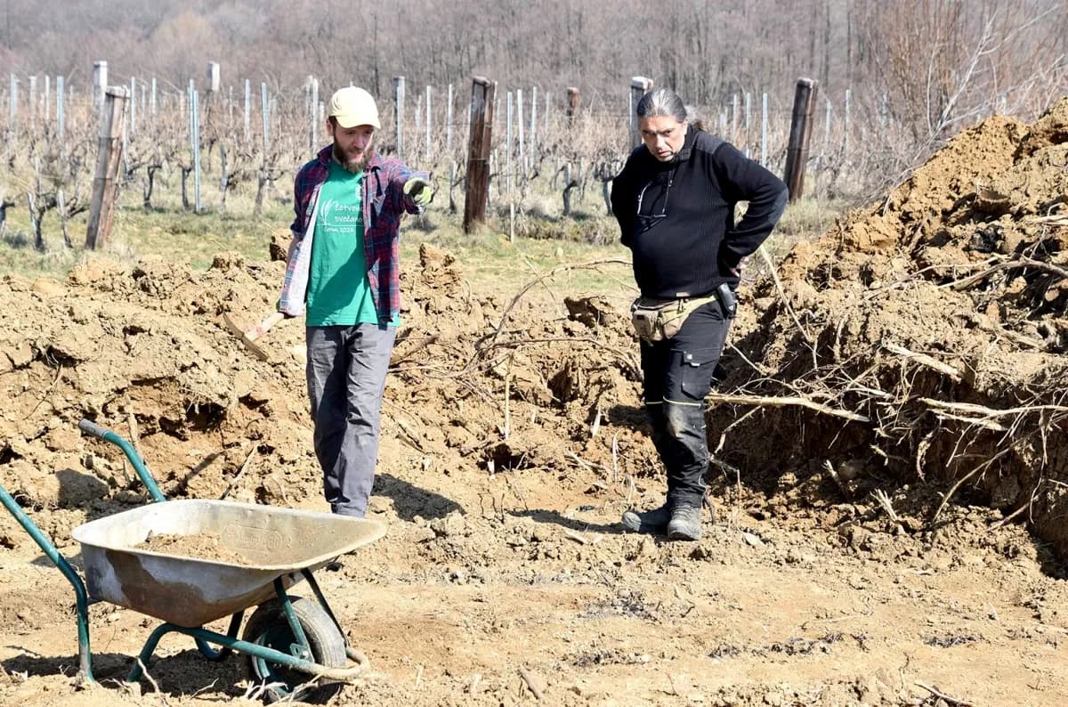 POVRATAK KORIJENIMA: Na Kaptolu se otkopava europska povijest stara tisućljećima
