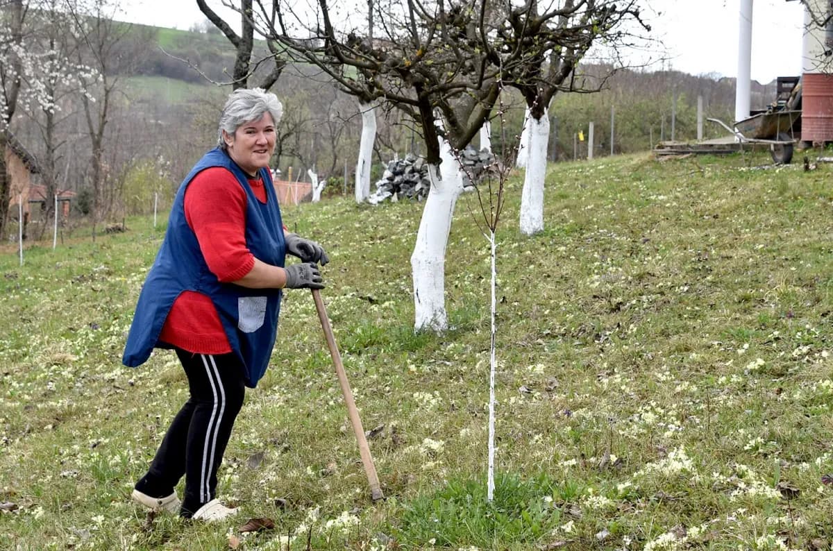 IZ GRADA U MIR MIRNE DOLINE: Gordana i Mile Andrijević požeški asfalt zamijenili idilom u Doljancima