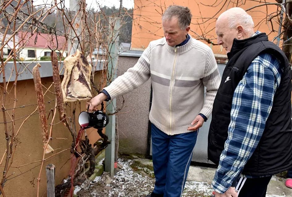 Planinar velikog srca i punih bačvi: Vinkova graševina osvaja srce i dušu