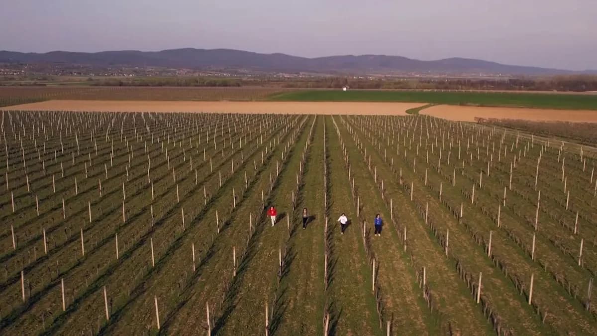 Objavljen video spot službene himne Susreta hrvatske katoličke mladeži 2026.